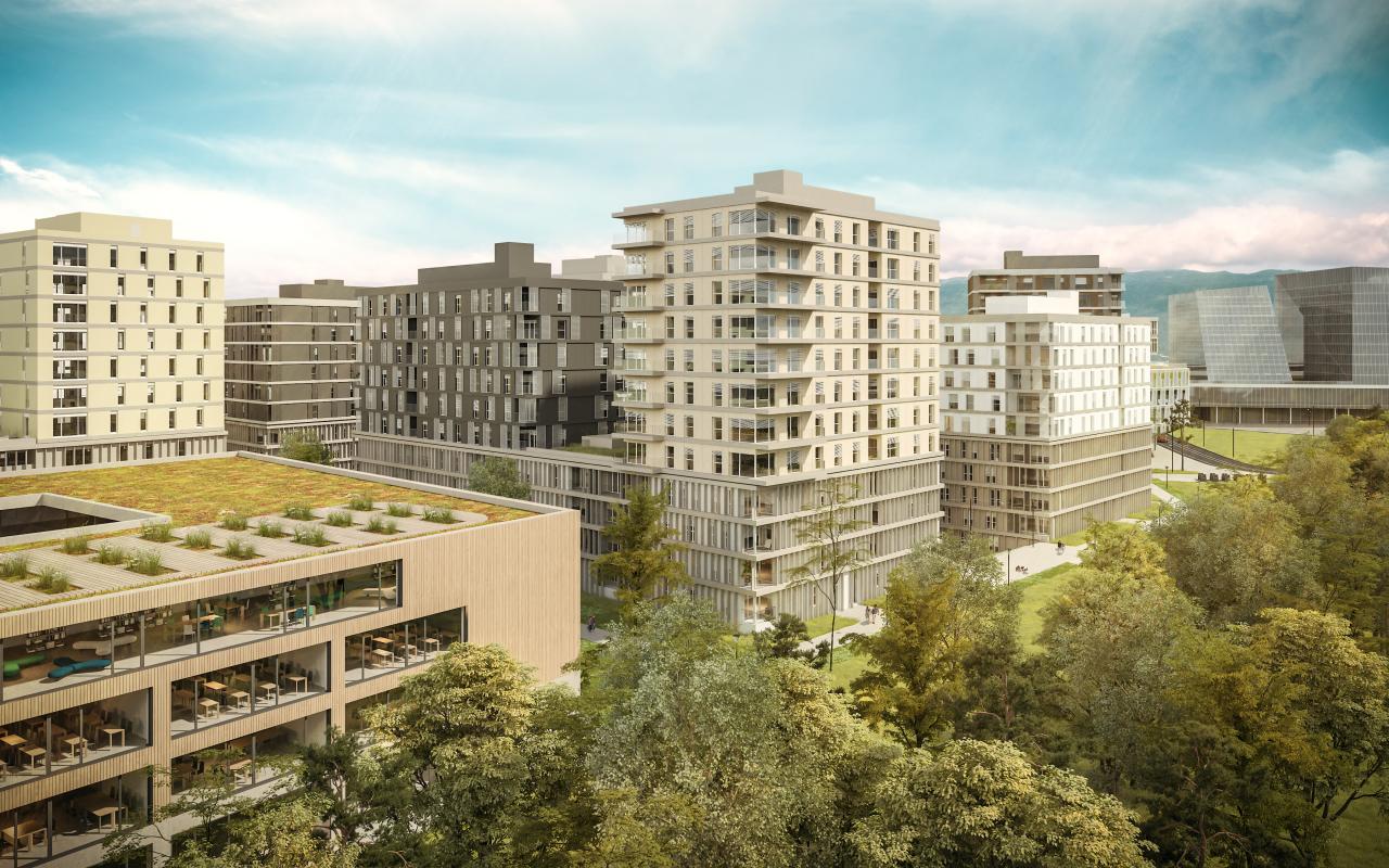 Le Quartier de l'Etang, une ville dans la ville